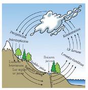 Ziklo hidrologikoaren diagrama.<br><br>